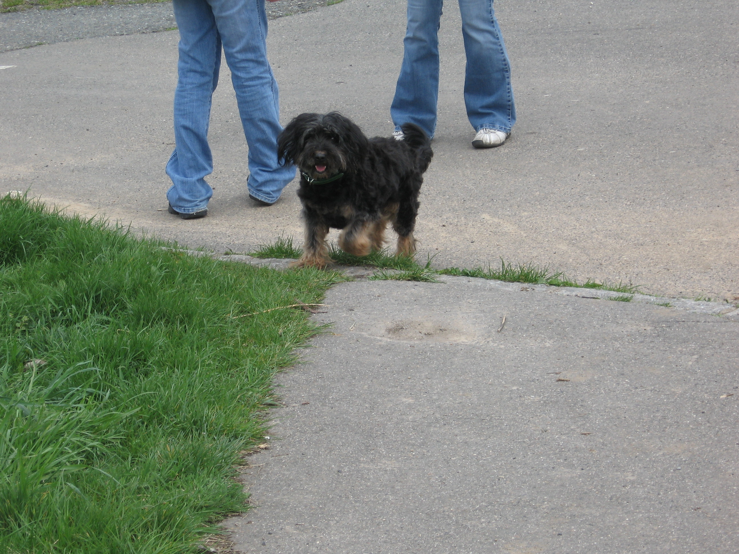 Dášenka v Drahanském údolí. 